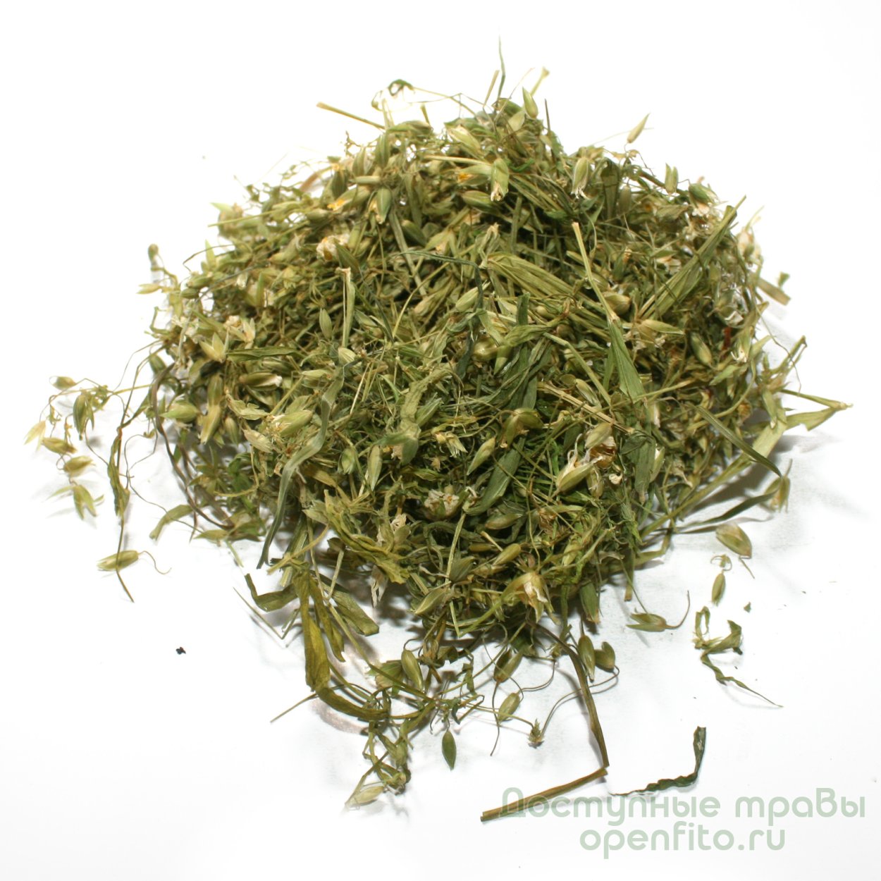 Полевая трава пахучая зелёная