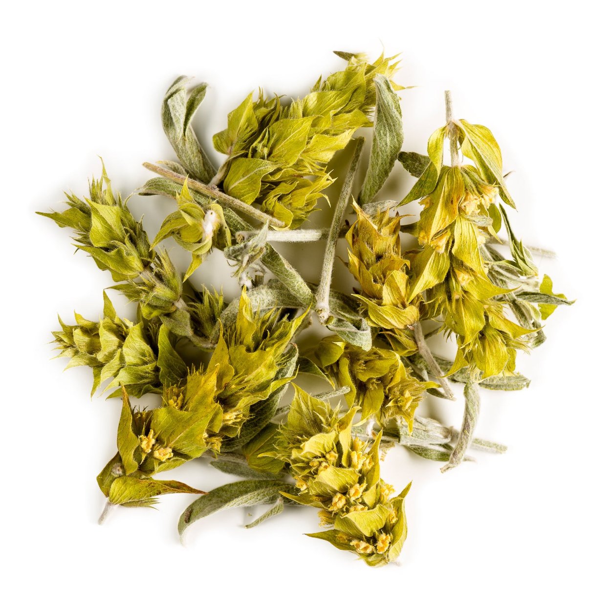 Greek Mountain Tea Sideritis