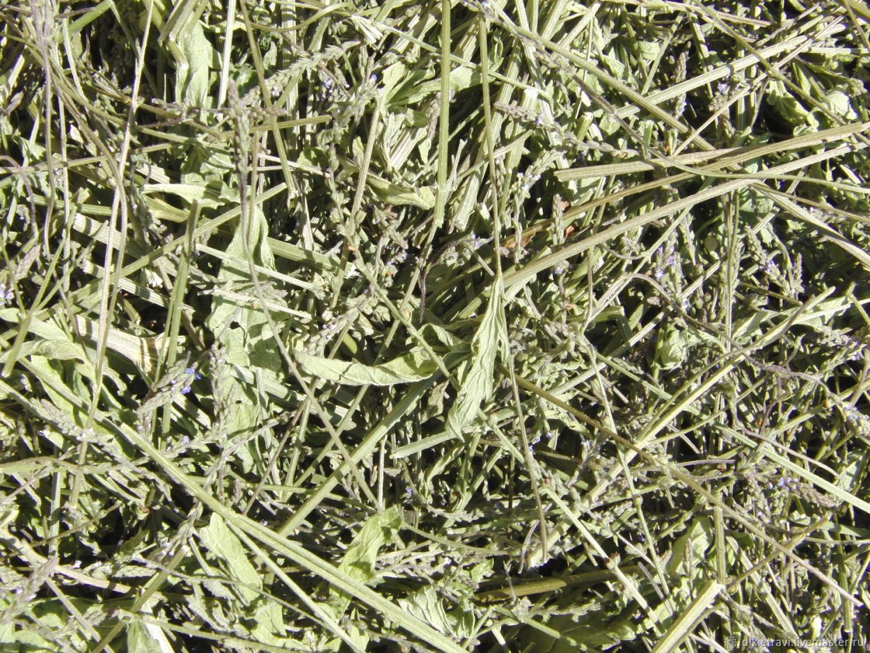 Светлый фон с веточкой