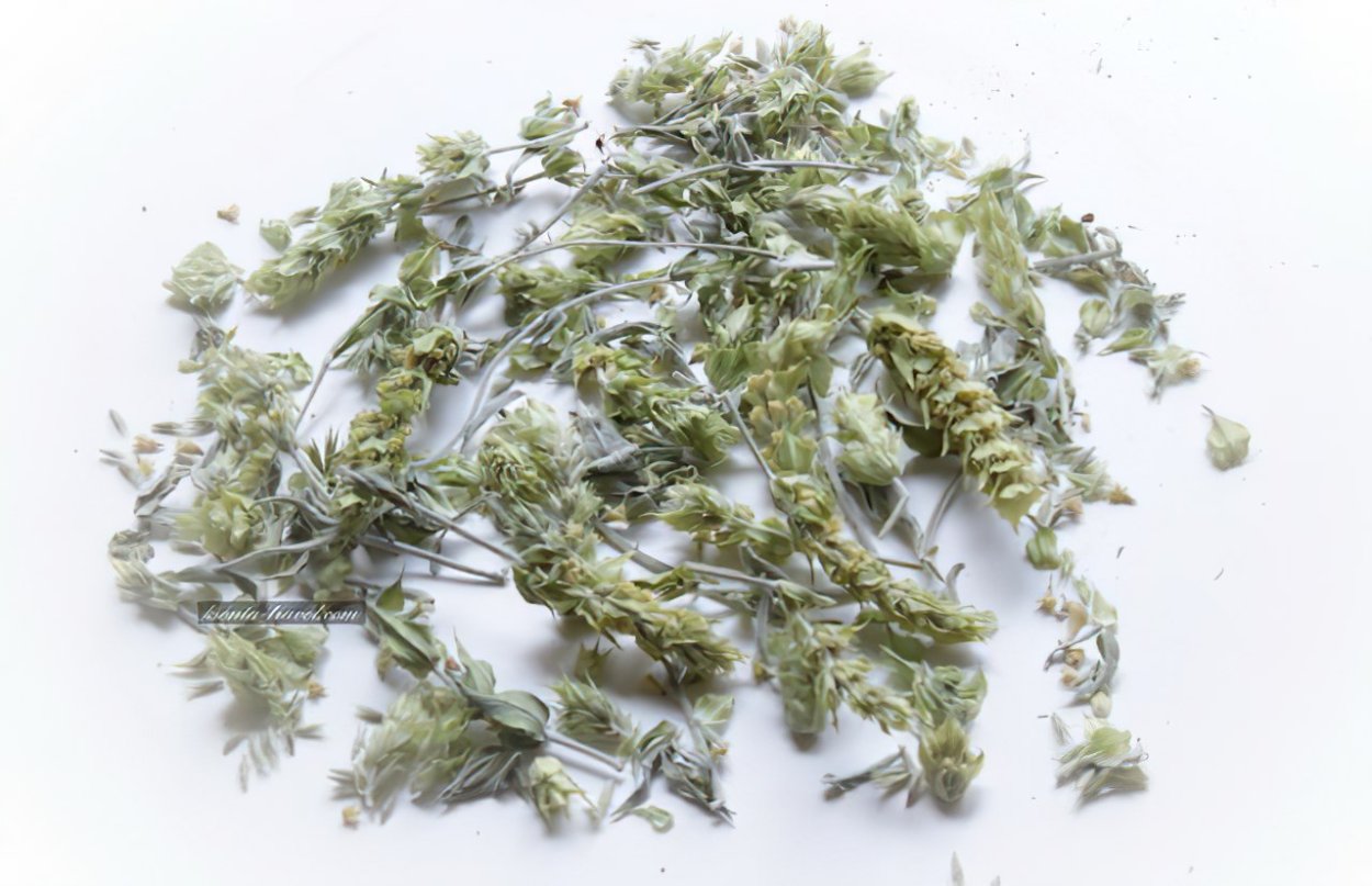 Железница Горная Греческая