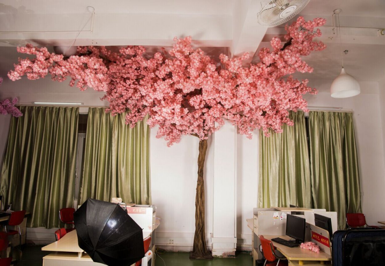 Китайское дерево с розовыми цветами