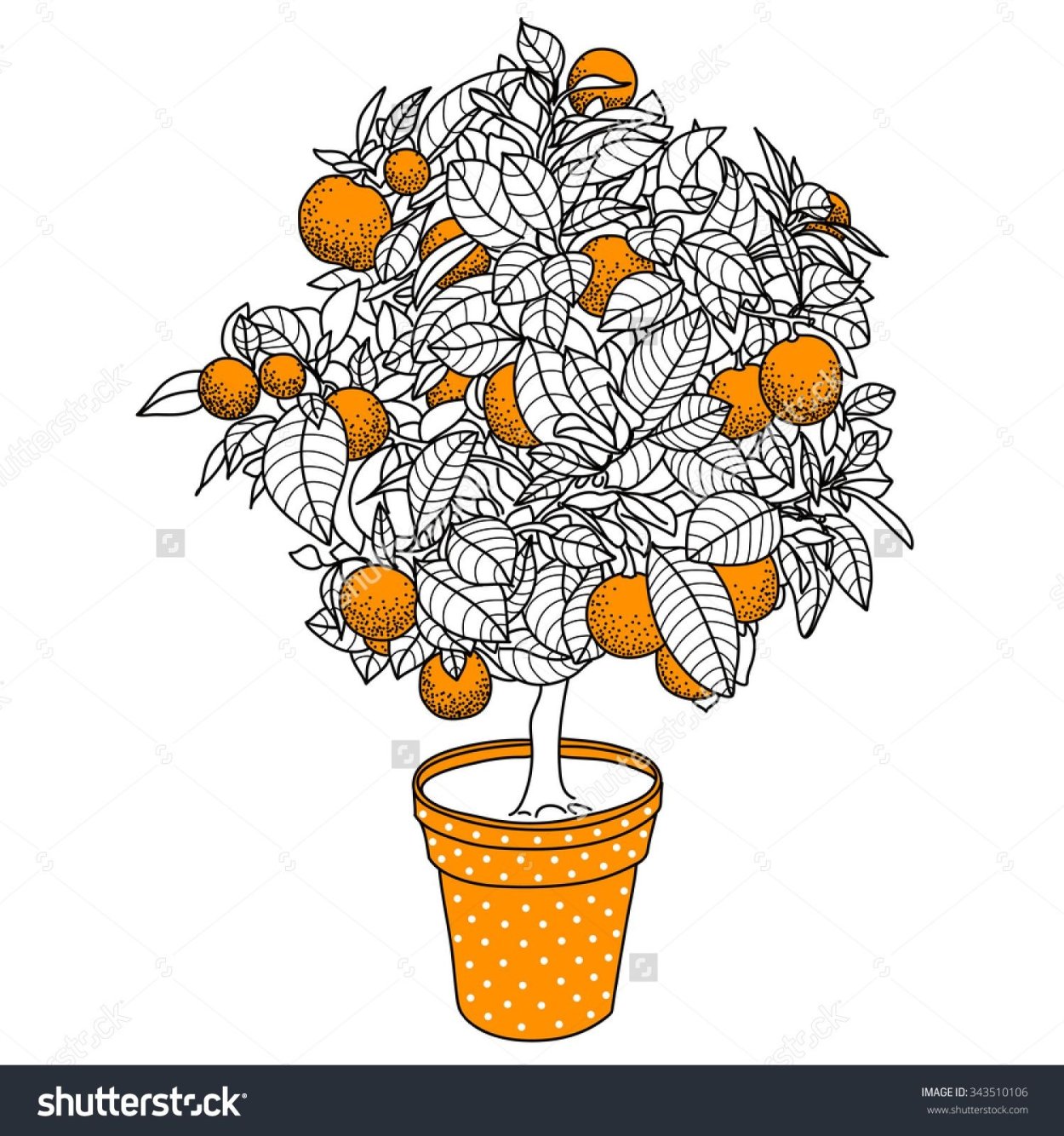 Спилы дерева для декора