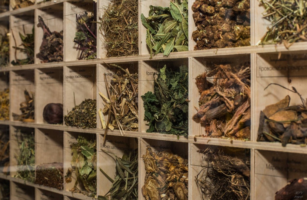 Отвары из лекарственных трав