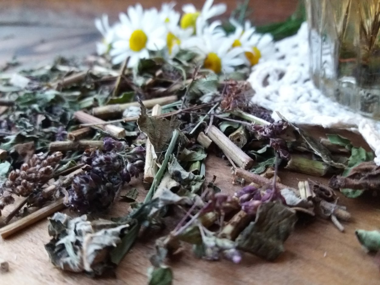 Чабрец и шалфей