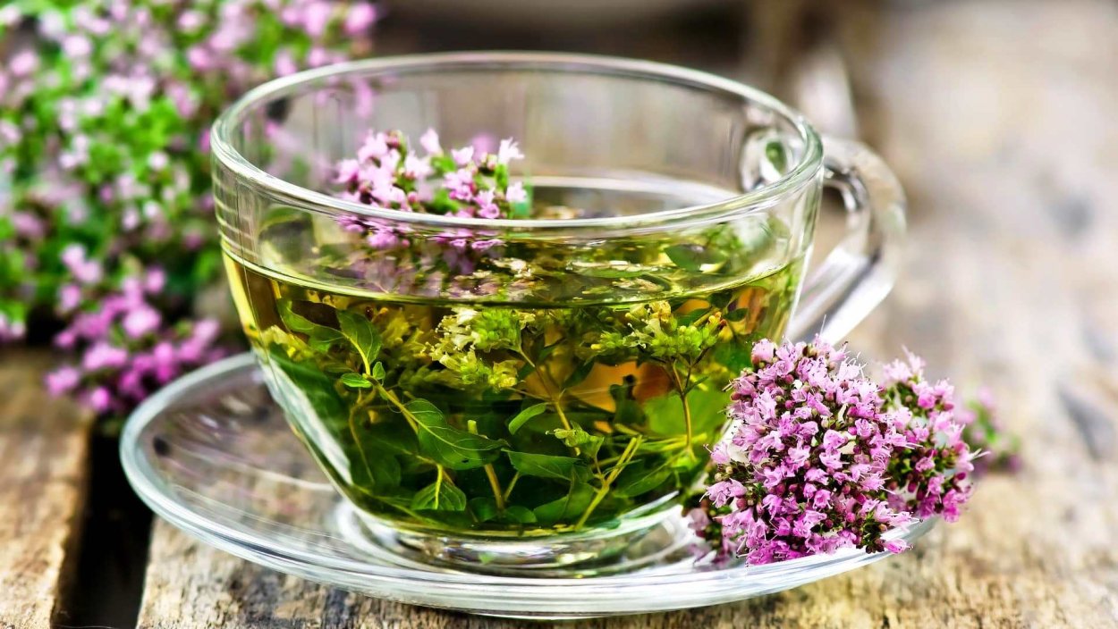 Фитопрепараты Иван чай