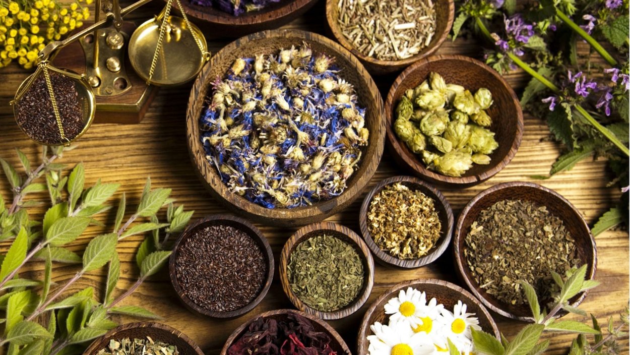 Душица трава