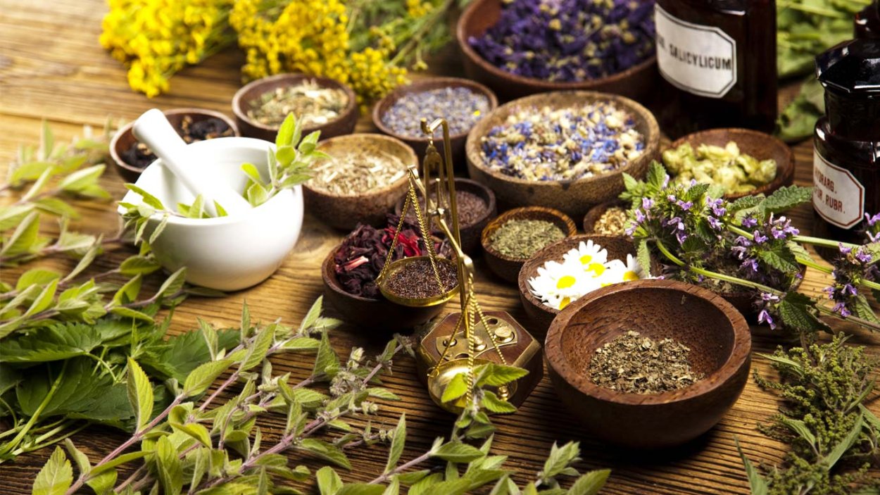 Лавка с лекарственными травами