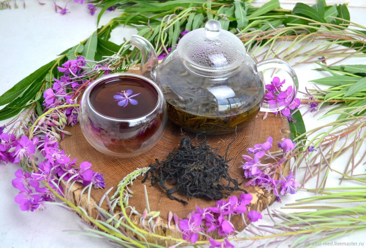 Лекарственные растения аюрведы