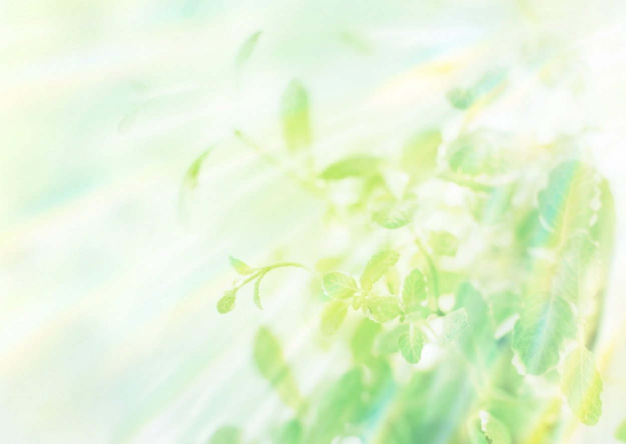 Светло зеленый фон для презентации