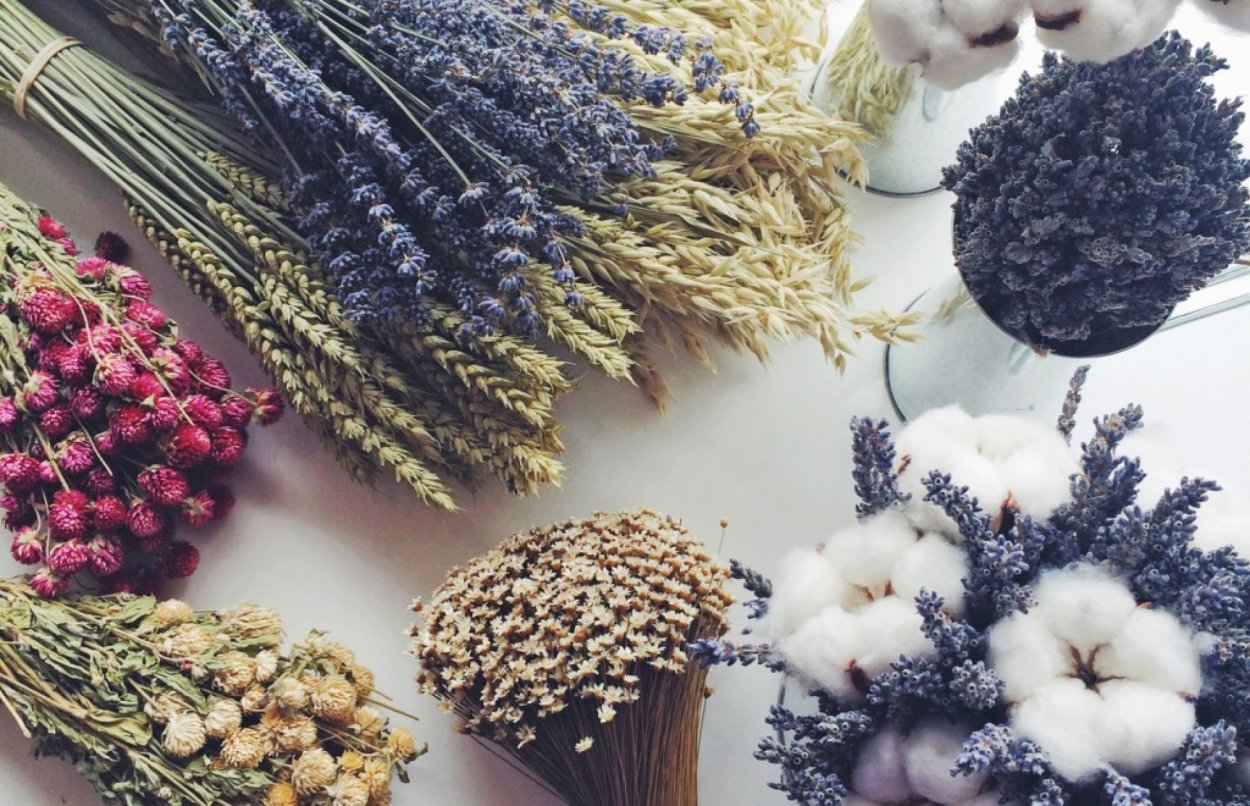 Книга Далянь