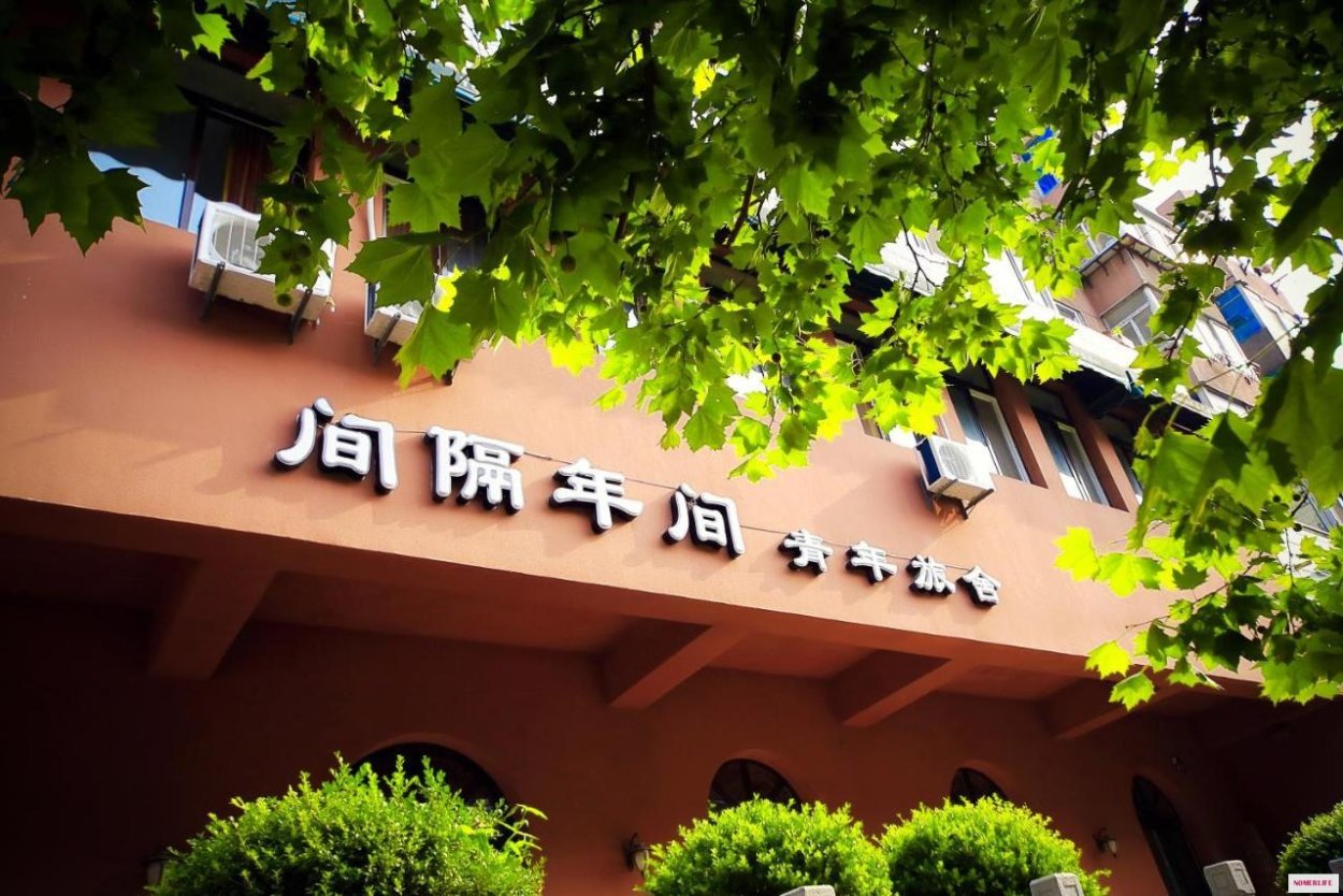 Съедобные травы дикоросы