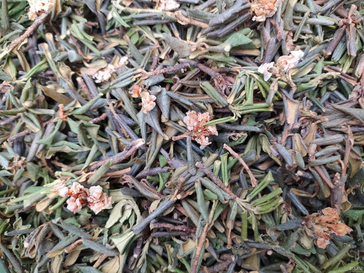 Фисташковая Эстетика