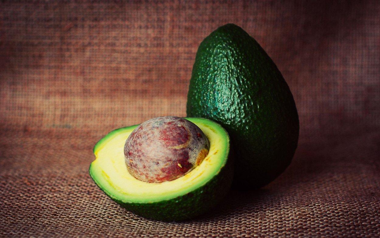 Авокадо дерево в тропических лесах