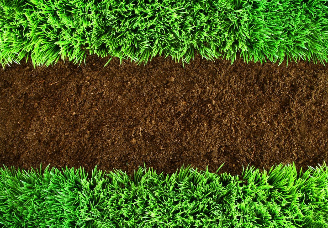 Земля с травой