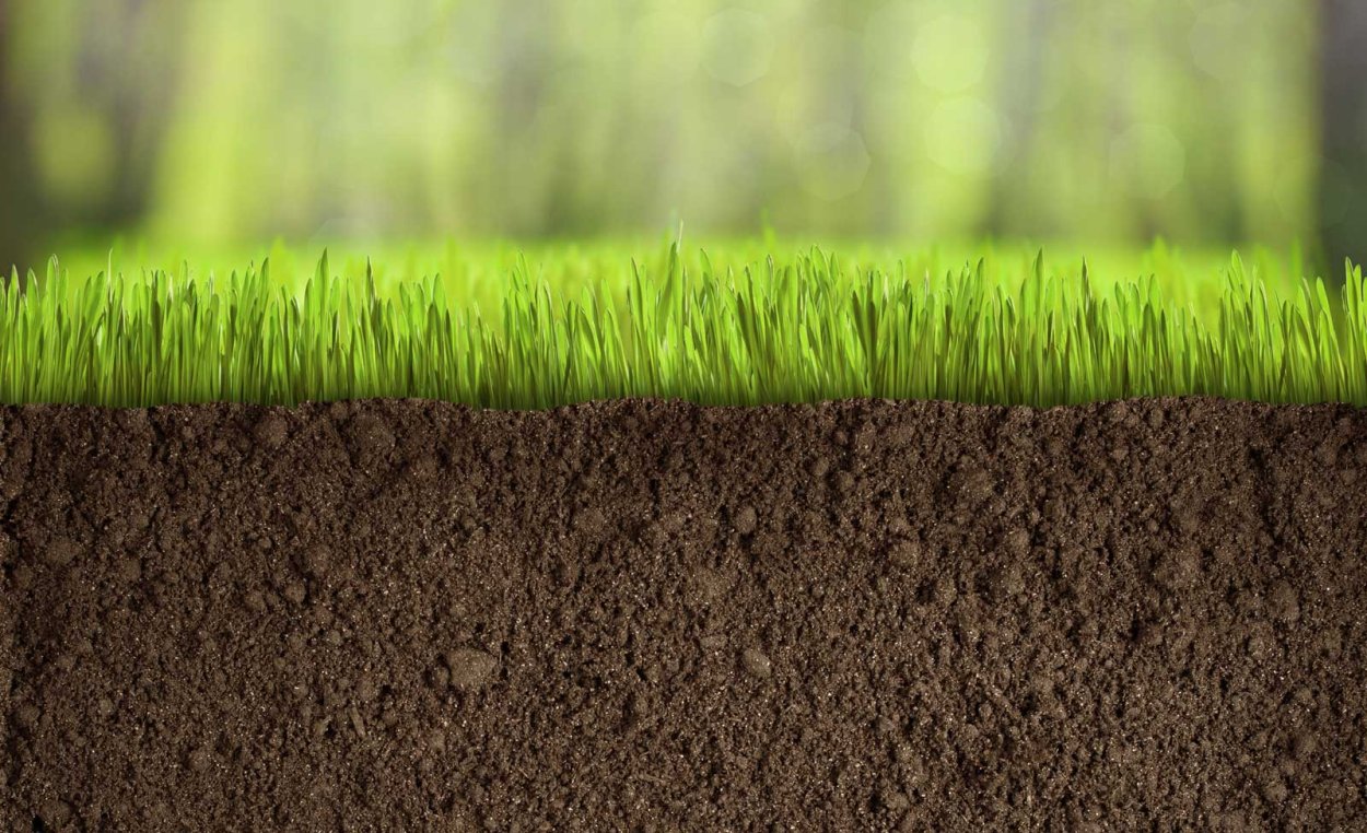 Газон на ПГС