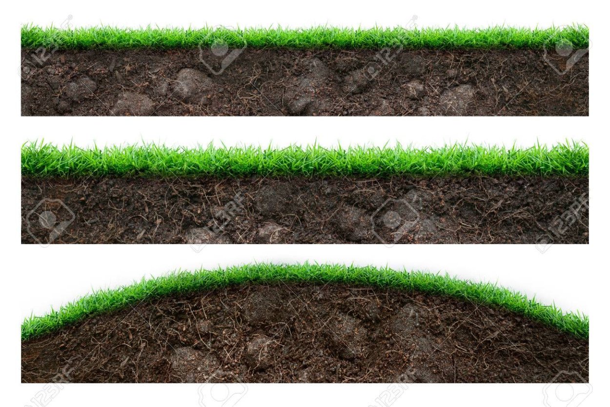 Кусок земли с травой