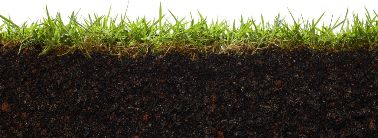 Земля почва