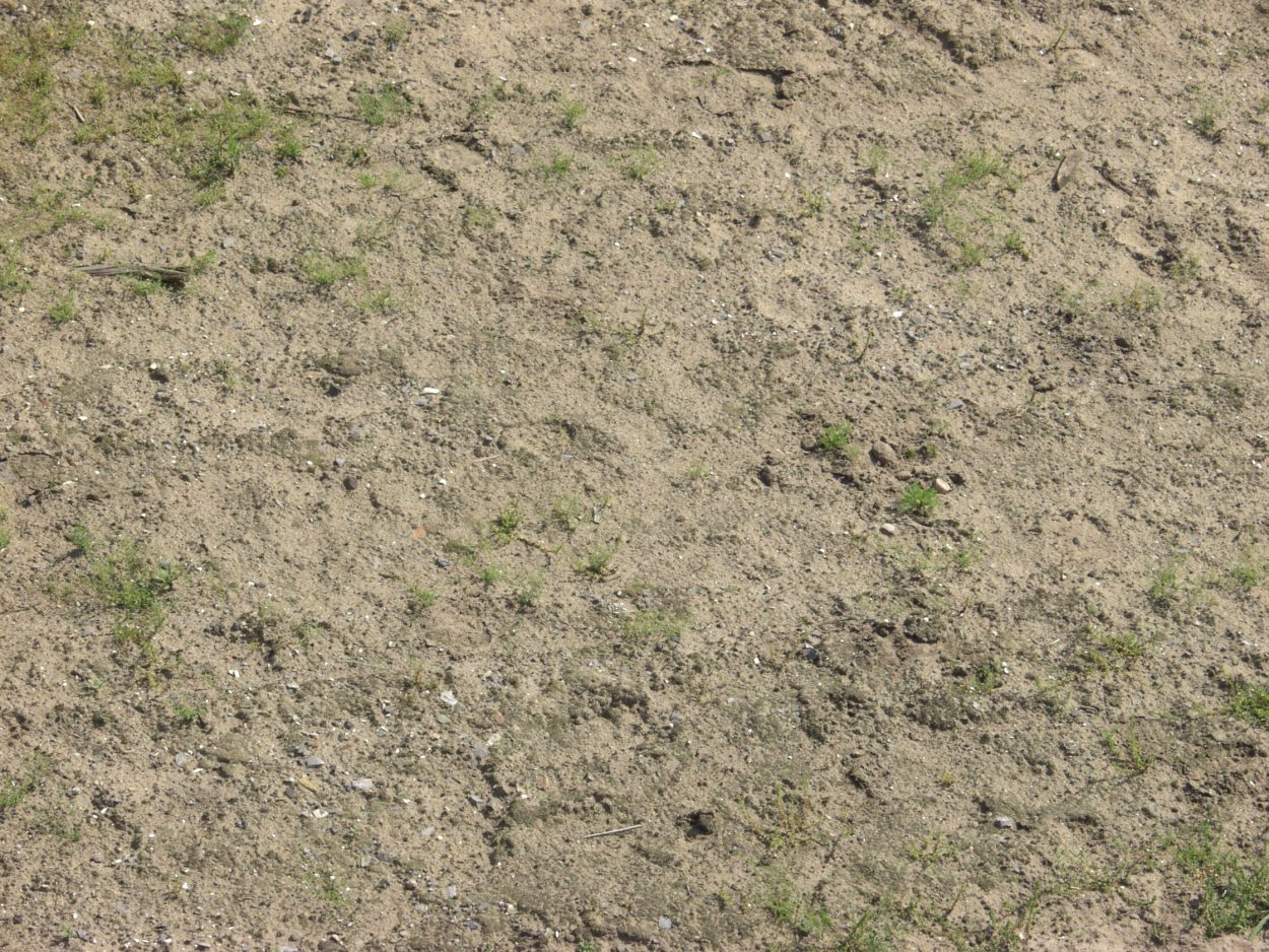 Грунт с травой текстура