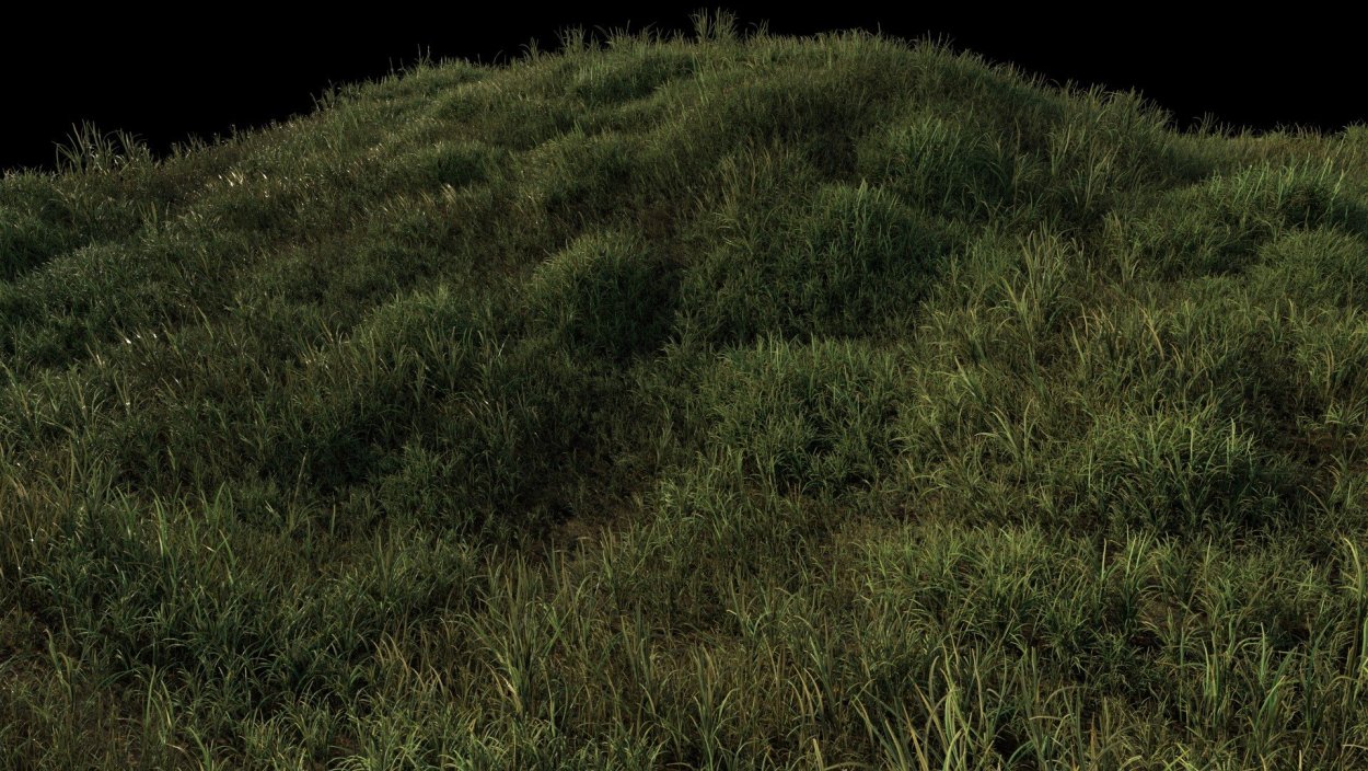 Земля с травой