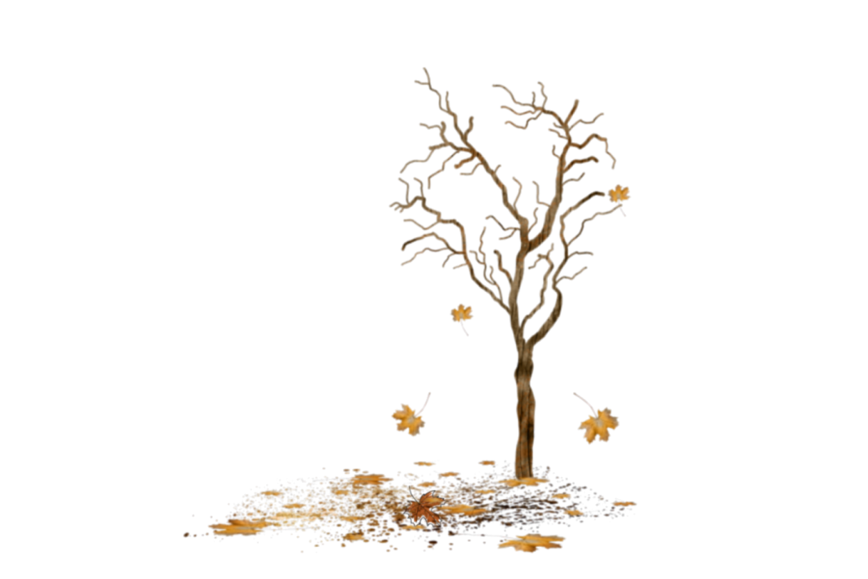 Листья падают с деревьев