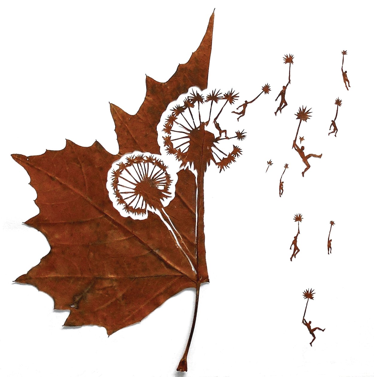 Лист дерева рисунок