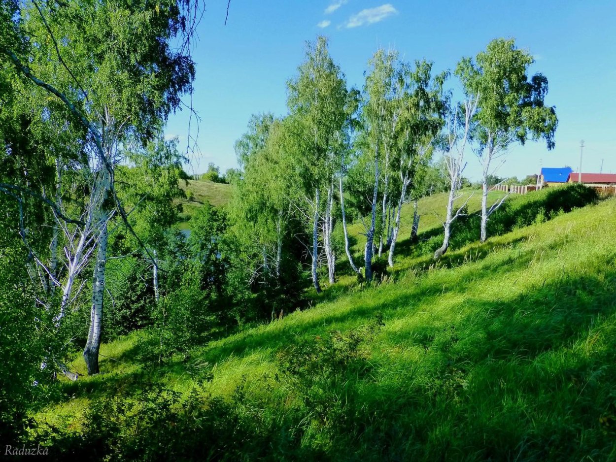 Березки Самарская область