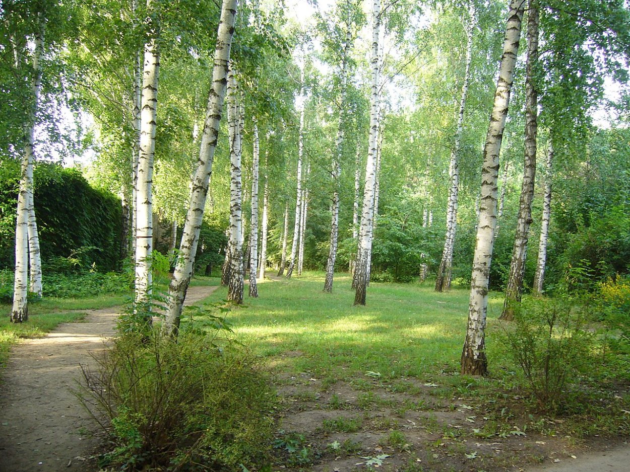 Роща Декабристов Ялуторовск