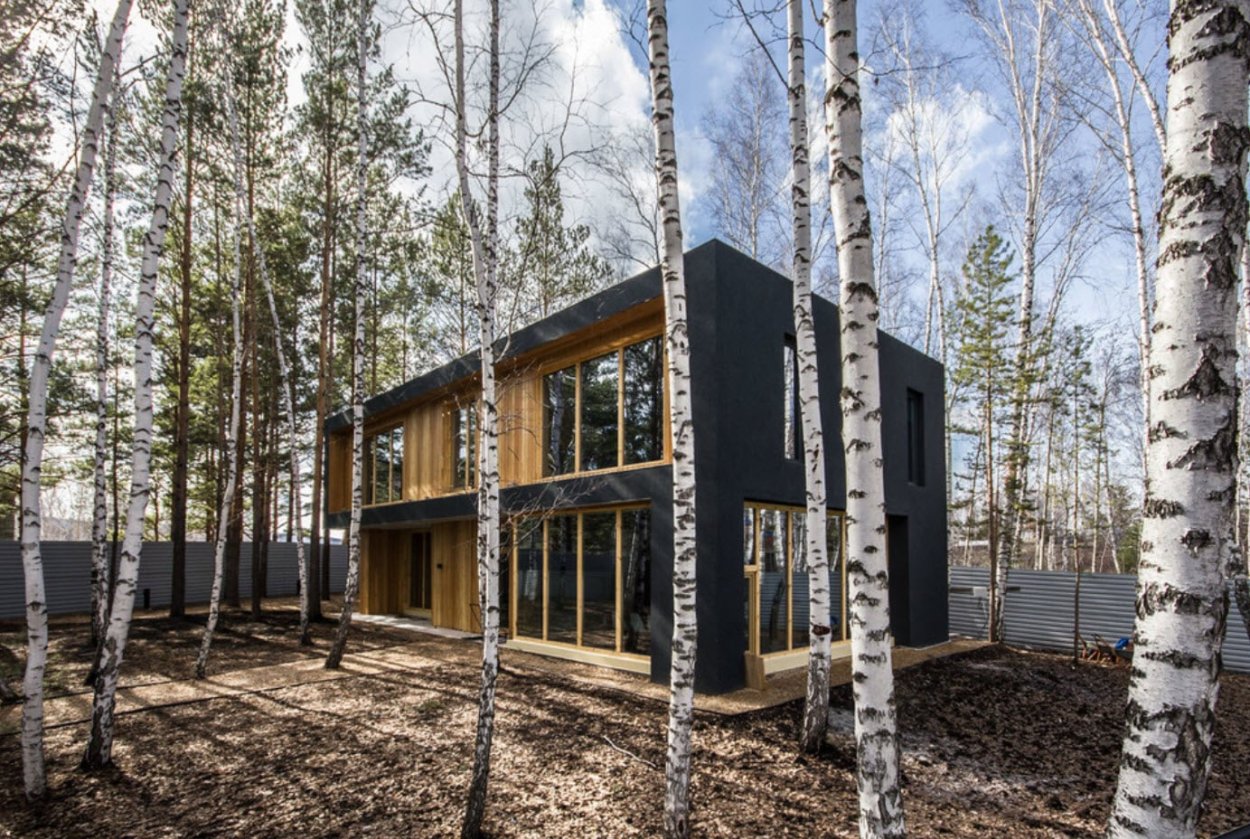 Дом в Березовом лесу