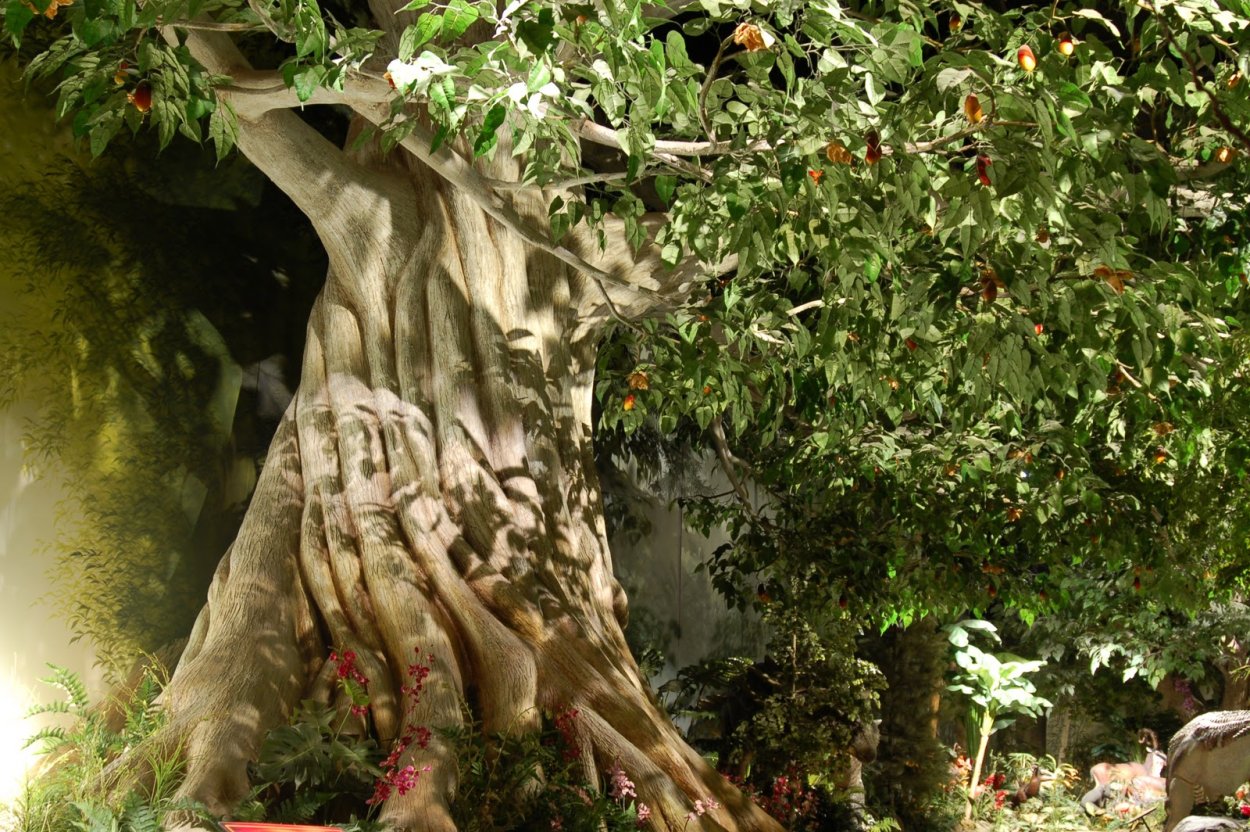 Эдемский сад Древо