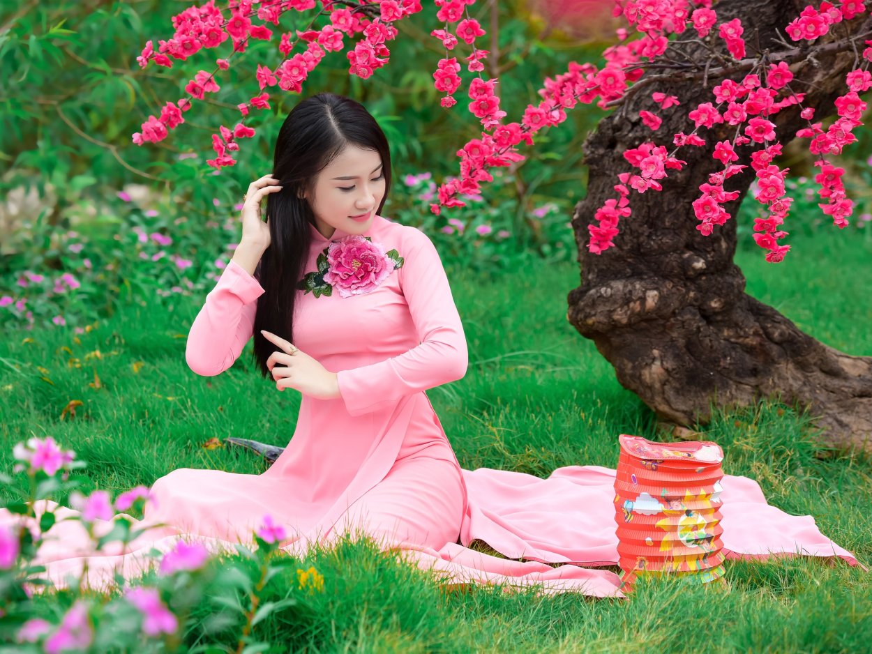 Травяная Сакура флокса