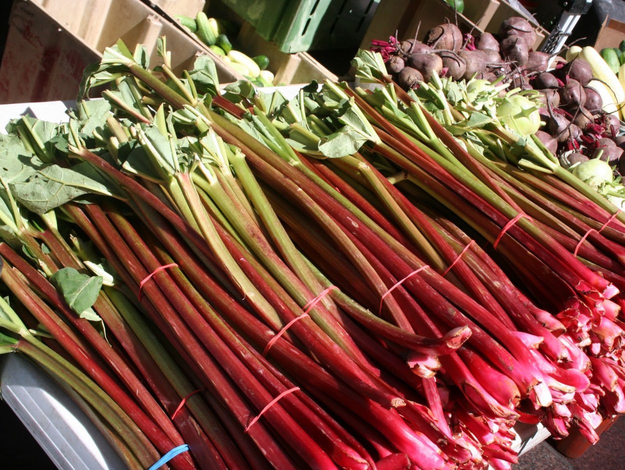 Колба Сибирская черемша