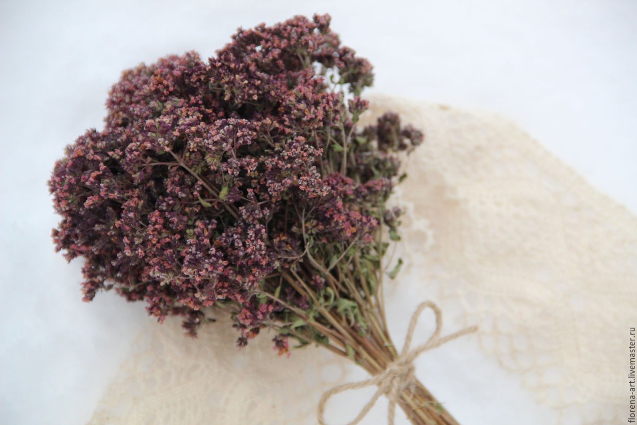 Душица обыкновенная сухая