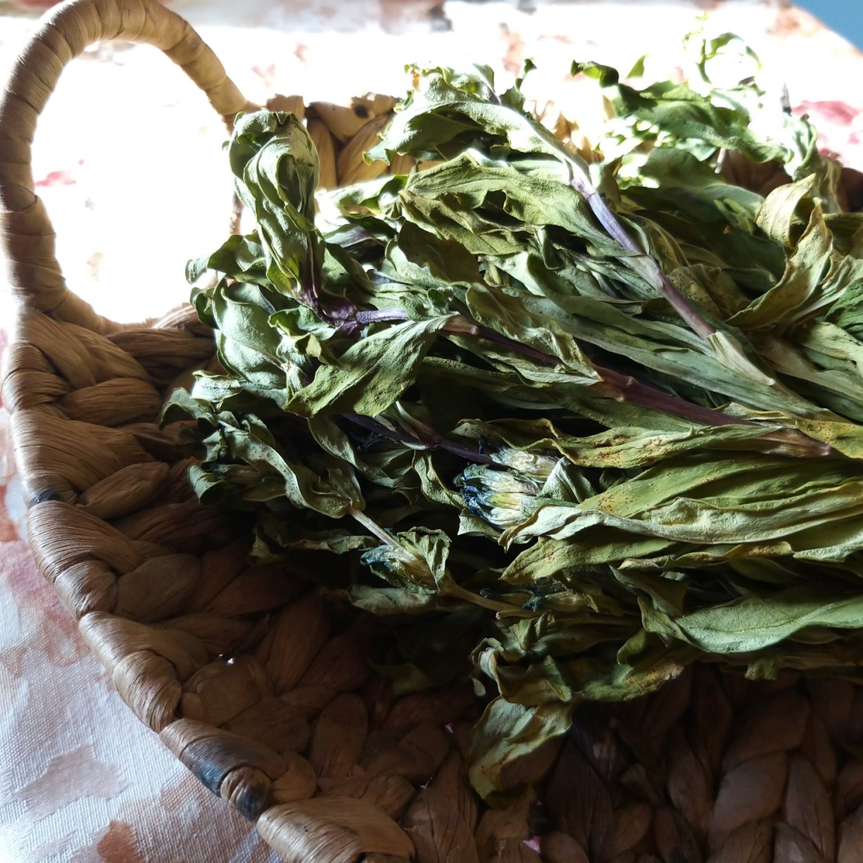 Трава тырлыч в аптеке