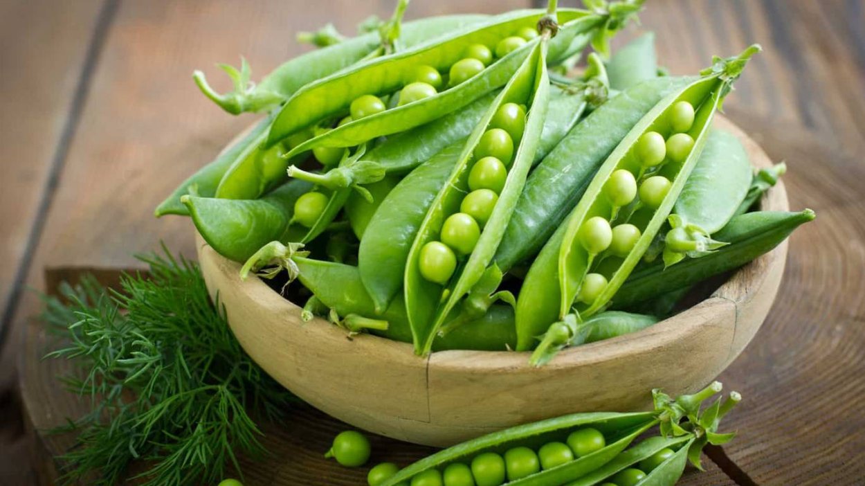 Горох овощной Орегон Шуга