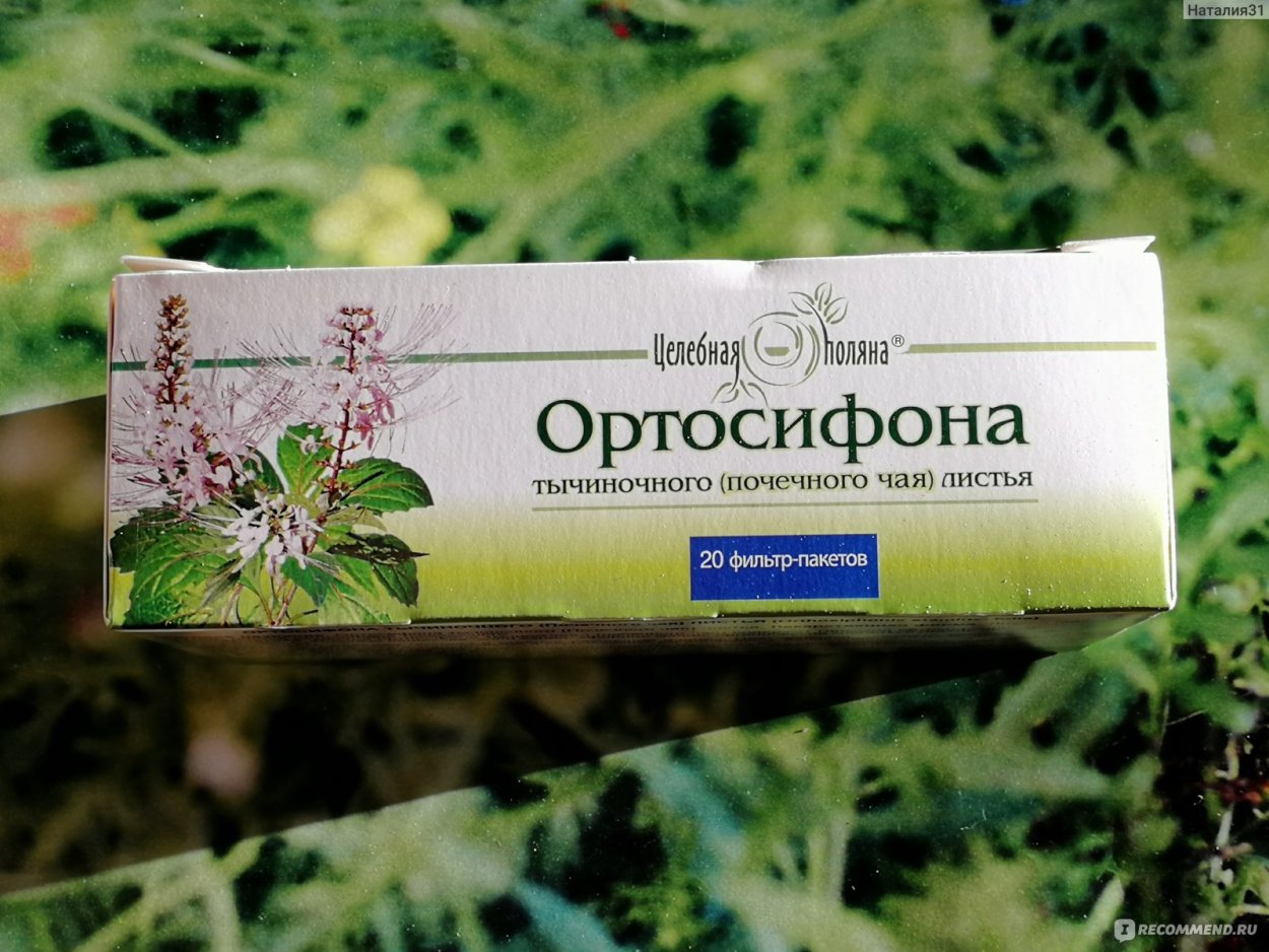 Почечный чай ортосифон