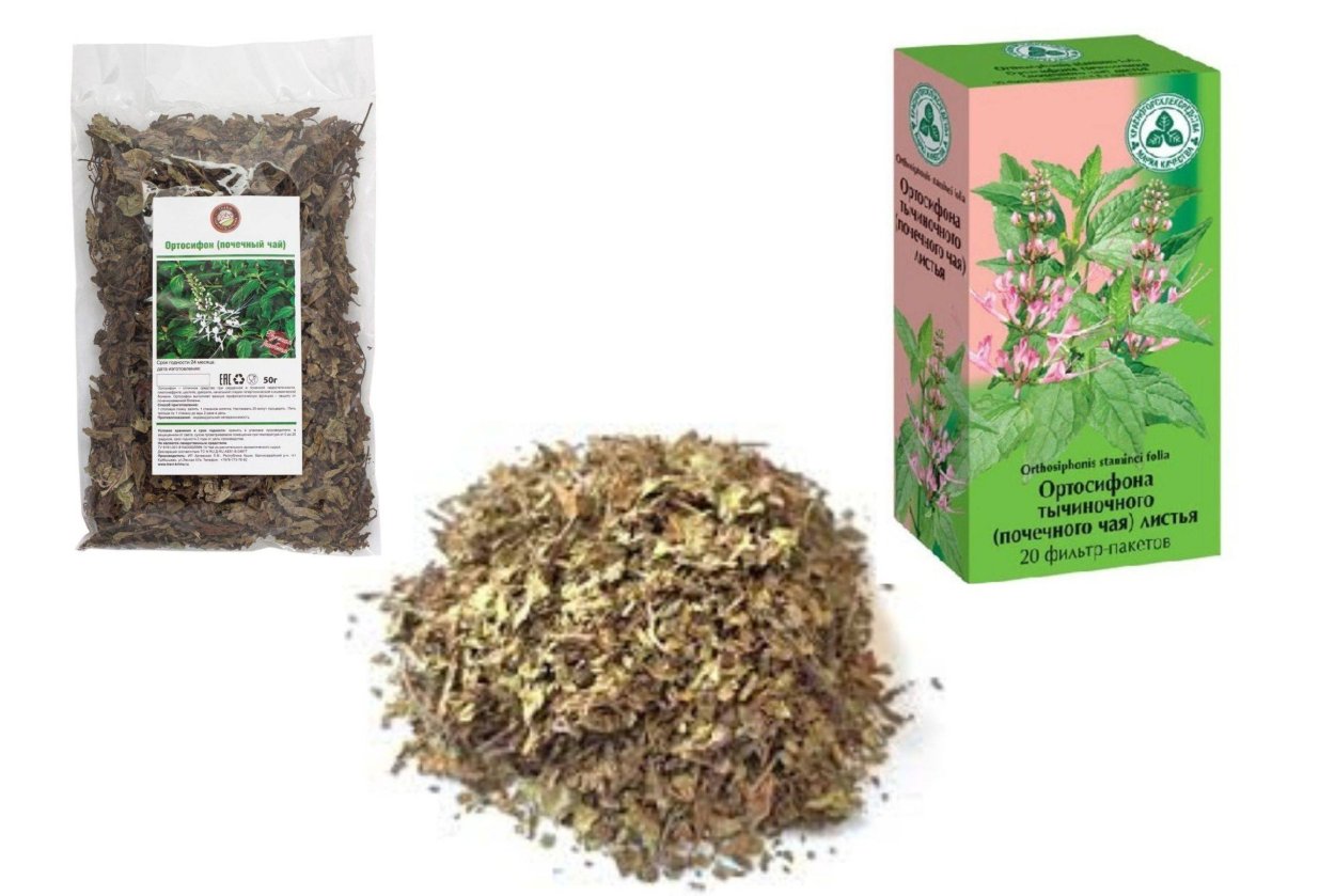 Почечный чай ортосифон