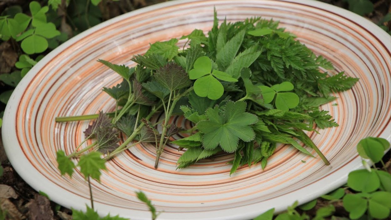 Дикоросы травы