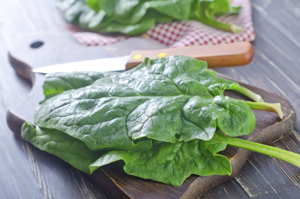 Шпинат Рембрандт f1