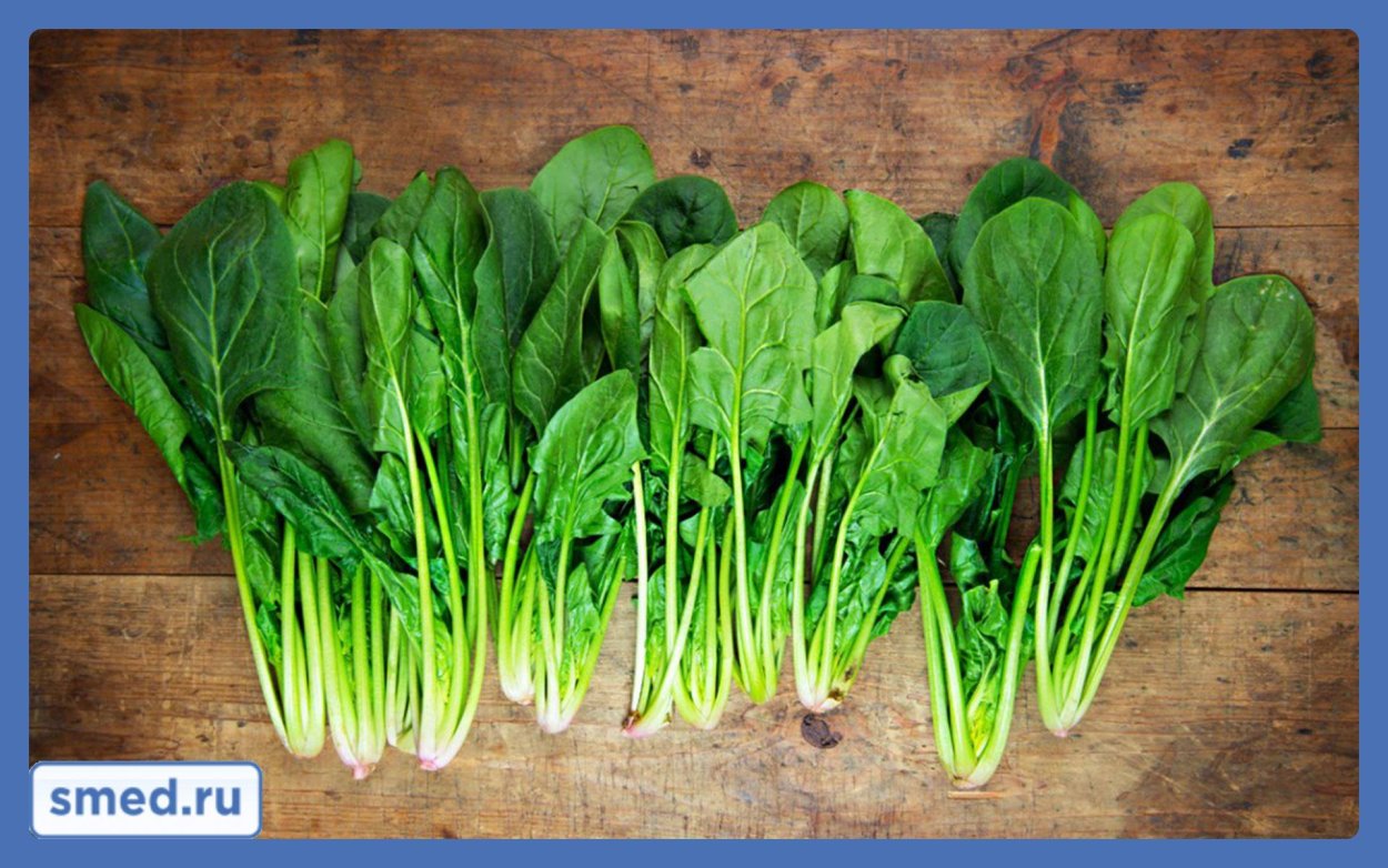 Шпинат на прозрачном фоне