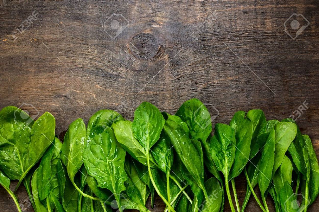 ИСМАЛОК етиштириш