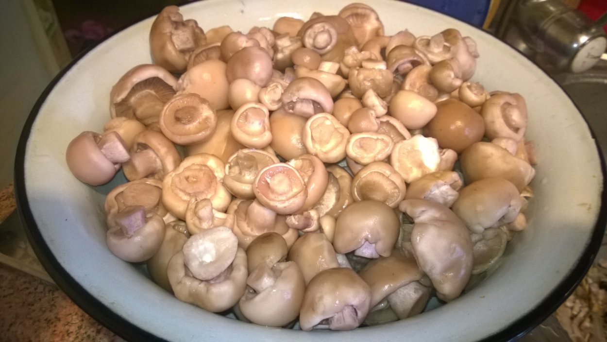 Рядовки Синюшки