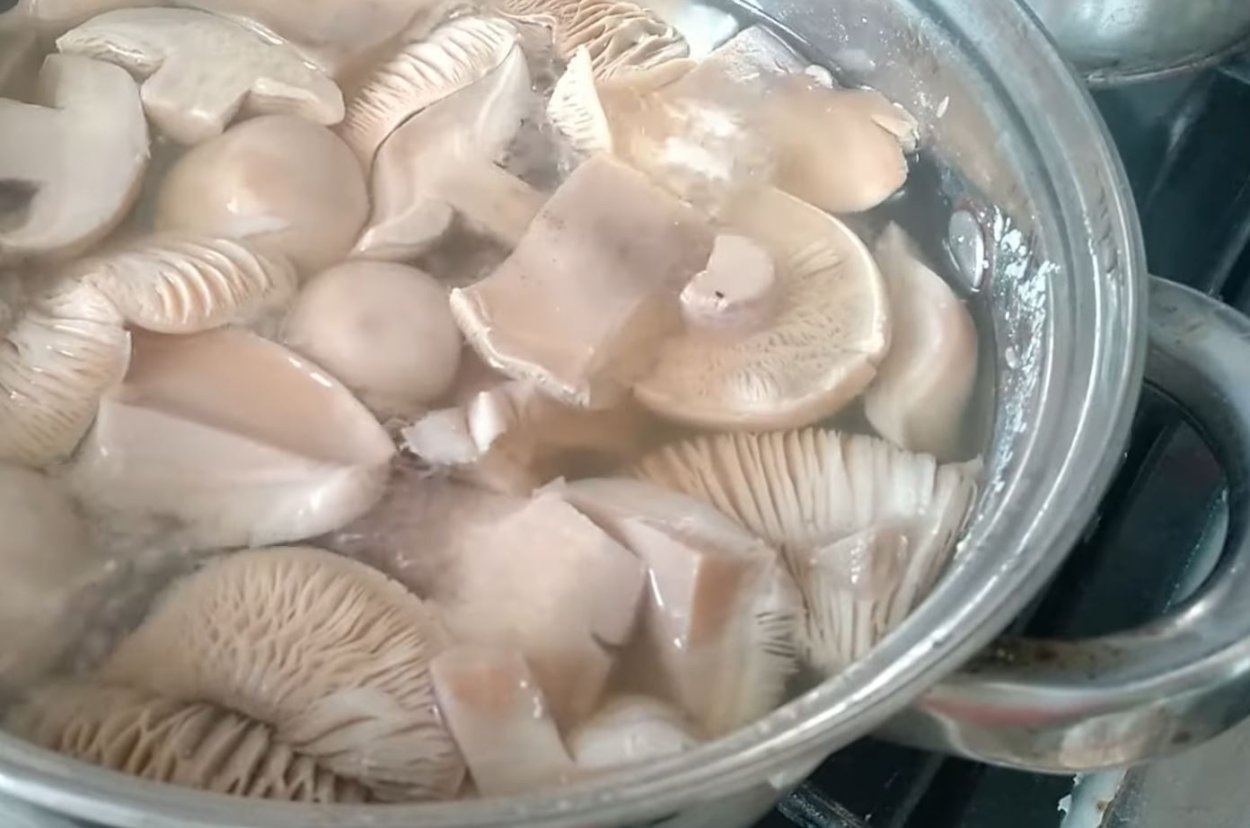 Ложная синеножка