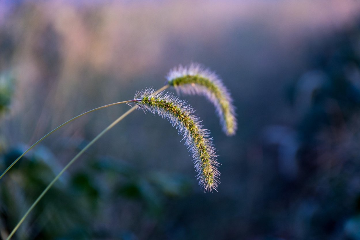 Красивый хвост на длинных волосах