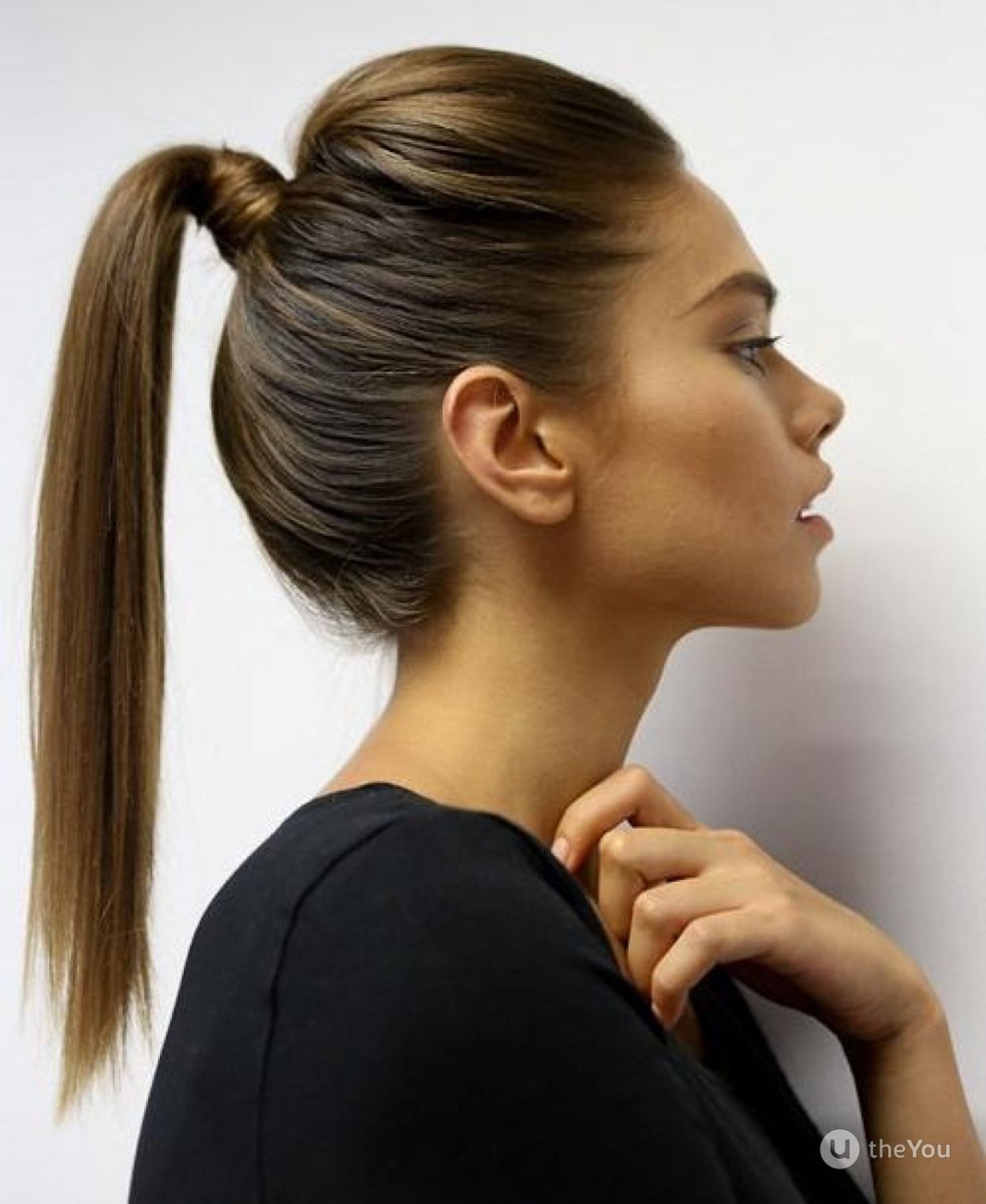 Хвощ полевой