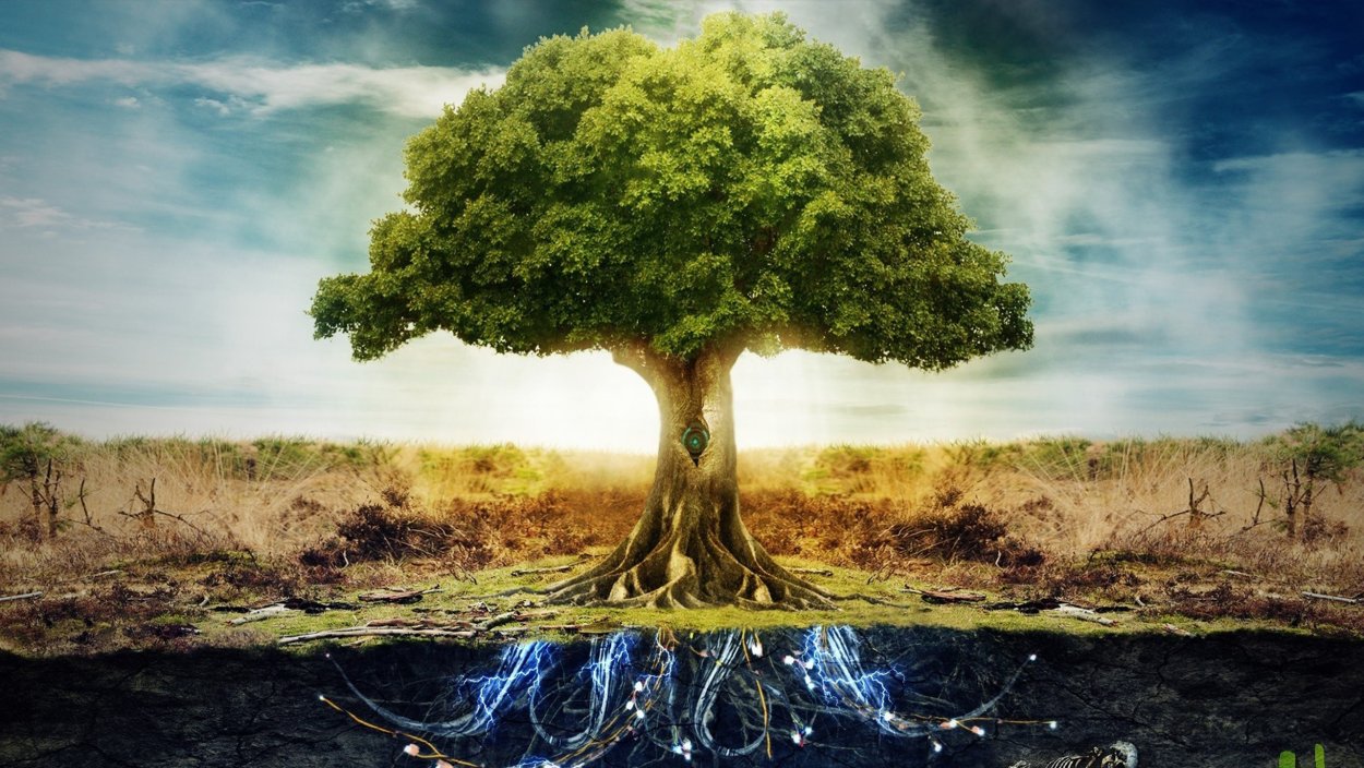 Дерево с корнями и кроной