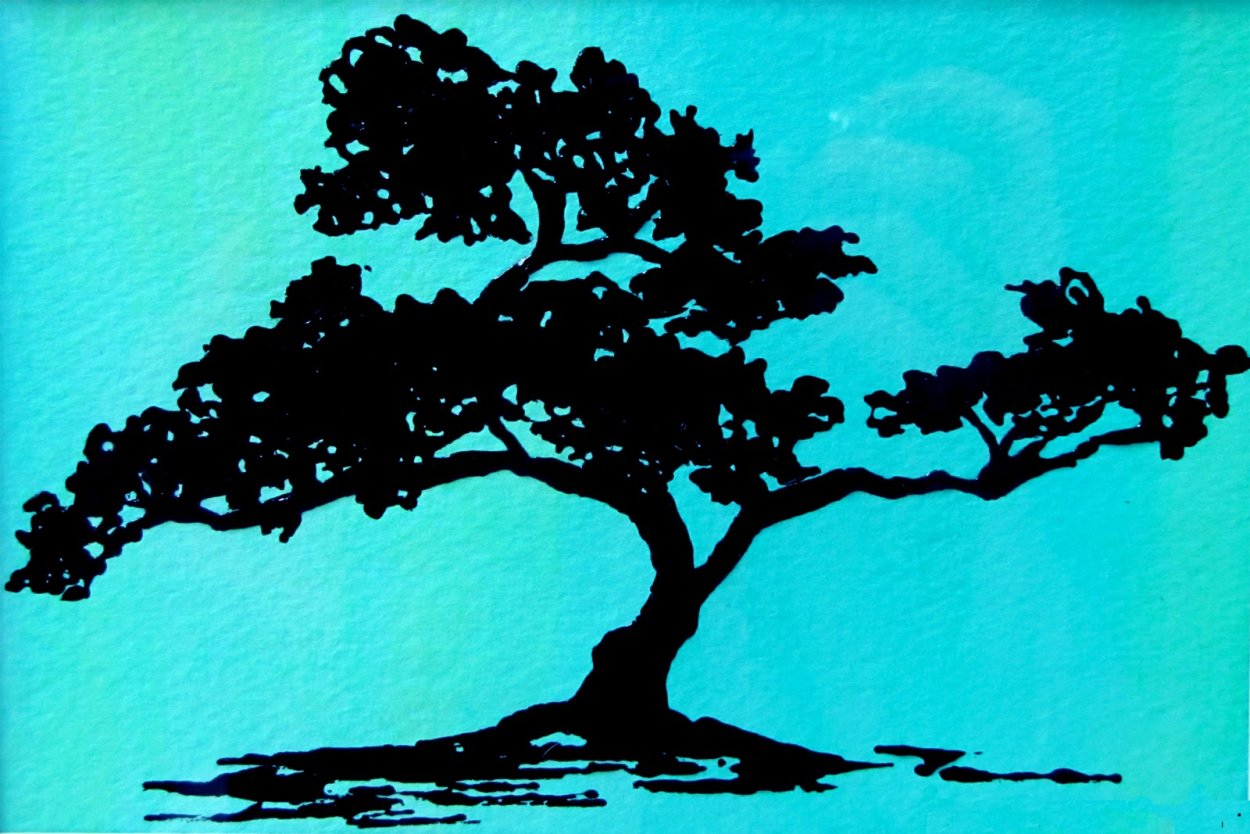 Солнце сквозь деревья