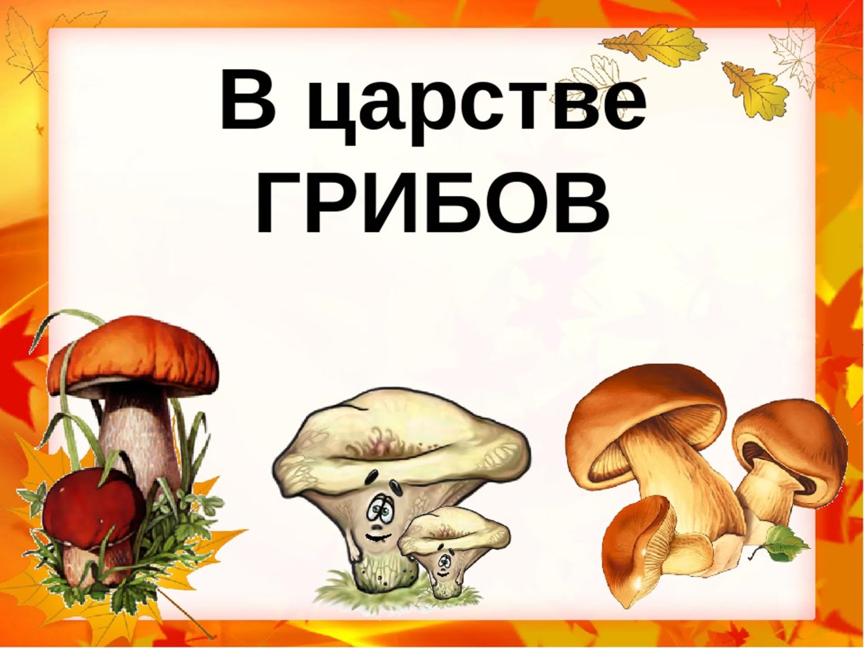 Алиса и галлюциногенный гриб