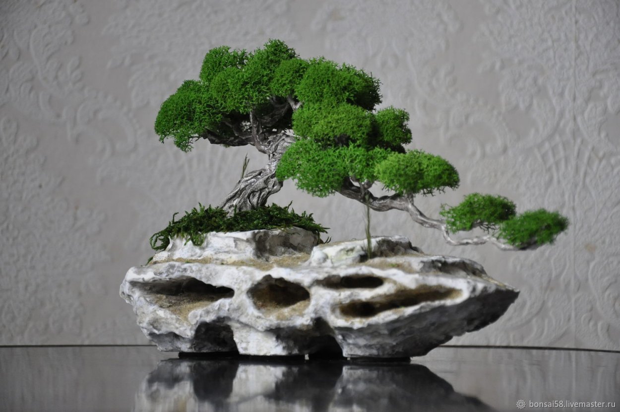 Кусамано искусство бонсай