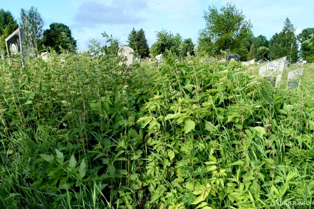 Земля на кладбище