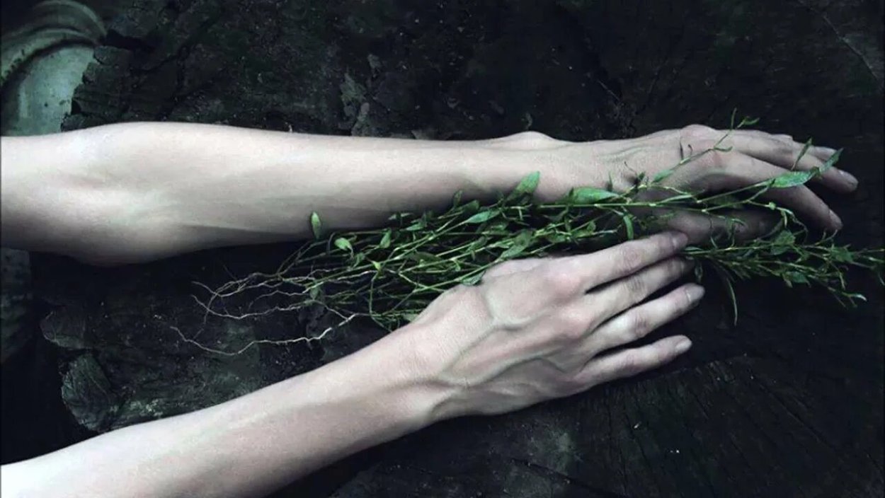 Руки Эстетика